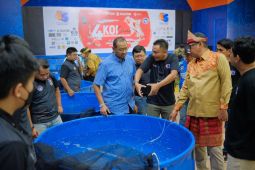 Pupuk Kaltim gelar Bontang Koi Show 2022 semarakan HUT ke-45 Tahun