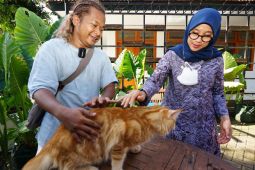 Banyuwangi tingkatkan layanan kesehatan hewan lewat "Festival Gocat"
