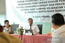 Pemerintah fokus tangani masalah tambang timah ilegal di Bangka Belitung