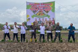 Warga Muara Jaya inginkan bantuan alsintan dan irigasi