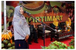 Wagub NTB kampanyekan pengurangan pemakaian pupuk kimia di pertanian