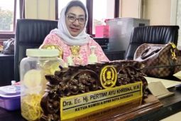 Komisi A minta warga jaga Taman Surya Surabaya saat dibuka untuk umum