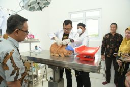 Pemerintah Aceh luncurkan layanan kesehatan hewan Se-Aceh
