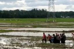 Operator traktor meninggal dunia mendadak saat bajak sawah