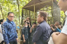Belum miliki izin, Wali Kota Bogor minta Mini Zoo Bogor Forest Hotel ditutup sementara