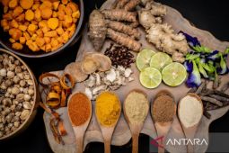 KemenKopUKM bersinergi dengan Sido Muncul kembangkan rantai pasok komoditas bahan baku jamu