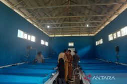 Mukomuko bagikan 25.000 benih ikan kepada pokdakan
