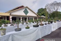 PT Timah Tbk Dukung Pameran Bonsai dan Aquascape di Bangka Barat