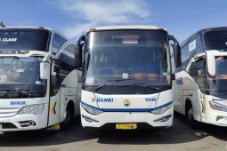 Jokowi sambut operasional bus DAMRI rute Kupang-Dili Timor Leste