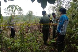 Polres Tabalong pasang garis polisi di lahan PT TWK