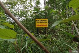 Lahan warga Sepaku seluas 817,9 hektare  dibebaskan untuk IKN