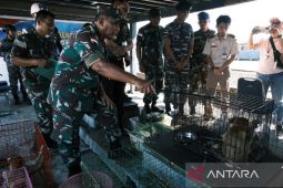 Lantamal Pontianak gagalkan penyelundupan satwa liar di sebuah kapal Vietnam