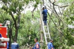 142 rumah di Karawang rusak akibat angin puting beliung