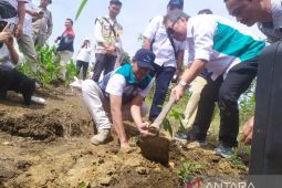 PJT I lestari alam di kawasan Danau Toba