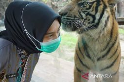 Cara hidup bersenang-senang tanpa berutang