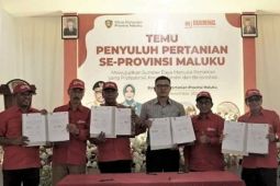 Distan tetapkan "off taker" untuk pasarkan produk kedelai dari Maluku