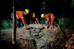 Pengelola jalan Tol Cipali bersihkan drainase di KM 151+800 atasi genangan air