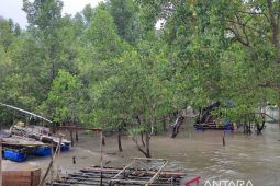 Kilau bisnis tambang timah di Pulau Bangka berbanding terbalik dengan tingginya prevalensi stunting