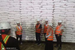 Stok pupuk urea dan NPK bersubsidi di Sumut aman