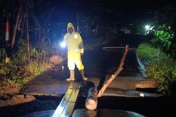 Ambles, akses jalan antarkecamatan di Trenggalek tergerus banjir