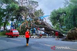BPBD siap siaga tangani dampak bencana akibat cuaca ekstrem di Sabang