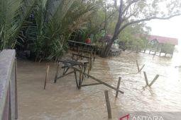 Fasilitas di Ekowisata Mangrove Teluk Berdiri Sungai Kupah rusak diterjang ombak