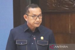 Anggota DPRD Kaltim tanggapi peristiwa tongkang tabrak pilar jembatan mahakam