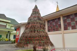 Gereja Regina Pacis Tanjung Pandan bangun pohon Natal berbahan daun kelapa sawit