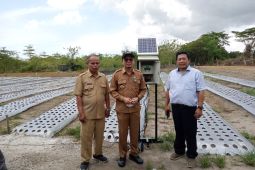 Pemkab Bangka Tengah perkuat sektor pertanian guna pulihkan ekonomi warga