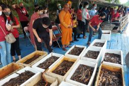 Young Budhhist Association lepas ribuan satwa air di Kalimas