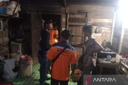 Pria paruh baya di Balangan tewas diduga digigit ular