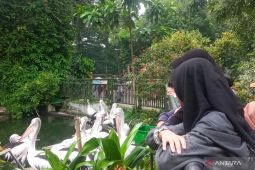 Sebanyak 76.881 wisatawan kunjungi Ragunan libur Natal