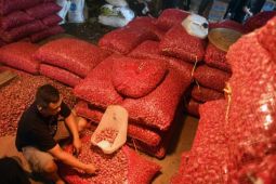 Bawang merah di Tapin melesat naik sambut Nataru