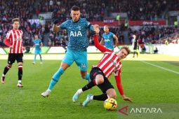 Liga Inggris -  Tottenham dan Brentford berbagi satu poin