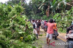 Angin kencang melanda kawasan objek wisata pantai selatan Sukabumi