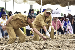 Gubernur Gorontalo dorong peningkatan produksi ubi kayu