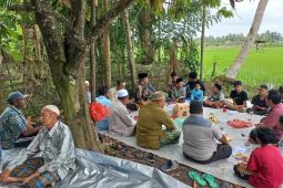 Usai musim tanam, ini dilakukan petani di Aceh Timur