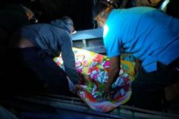 Seorang warga tewas diserang buaya