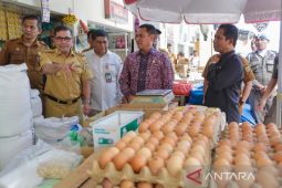 Bakri Siddiq: Harga bahan pokok di Banda Aceh stabil hingga akhir tahun