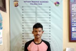 Polisi ringkus pria pengedar sabu-sabu di Pidie
