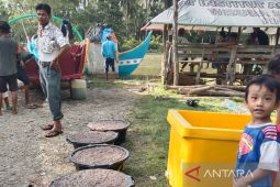 Produksi perikanan tangkap Mukomuko pada 2022 capai 19.699 ton