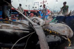 KTT AIS di Bali berpotensi perbaiki kualitas ekosistem pesisir dan laut
