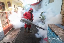 DBD di Sampang meningkat 129 kasus selama 2022