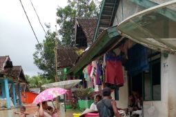 Dampak banjir, 40 hektare sawah di Pandeglang gagal panen