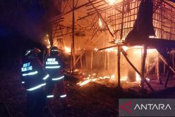 Kebakaran, 1.100 ekor ayam mati di kandang