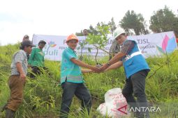 Dirut PLN raih Green Leadership Utama