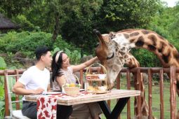 Baobab Safari Resort tawarkan "Legendary Circus" di malam Tahun Baru 2023
