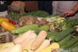 Permintaan jagung dan arang naik