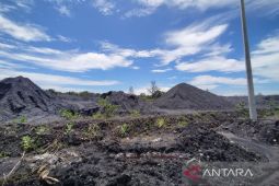 DLHK sebut 13 perusahaan di Bengkulu terima rapor merah dari KLHK