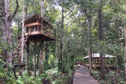 KLHK beri kepercayaan masyarakat akses hutan